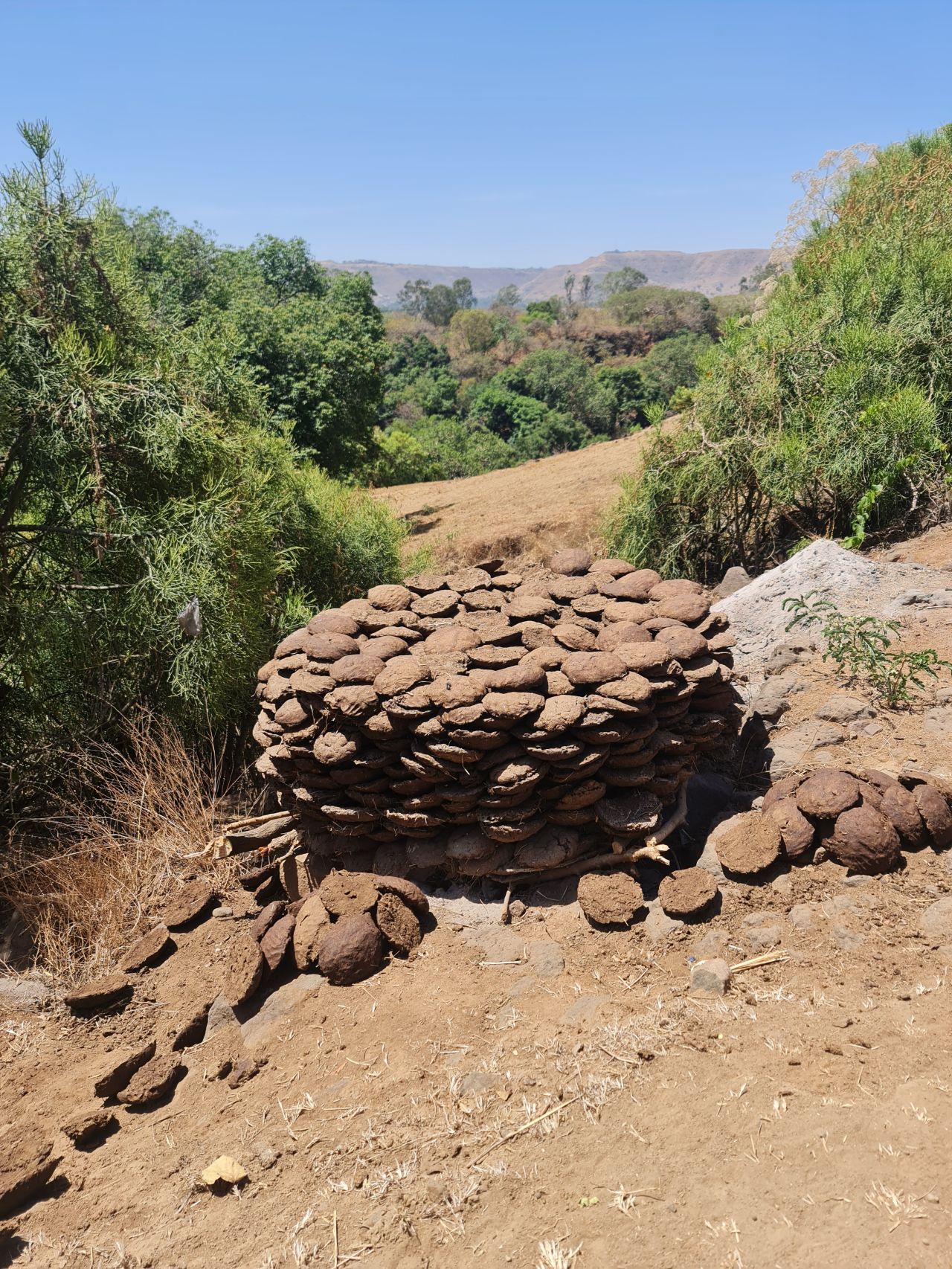 « Un projet intelligent est un projet qui s’adapte »